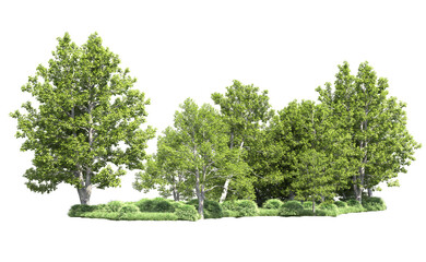 Green forest isolated on background. 3d rendering - illustration