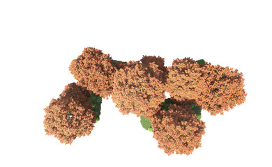 Green forest isolated on background. 3d rendering - illustration