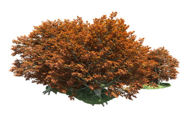 Green forest isolated on background. 3d rendering - illustration