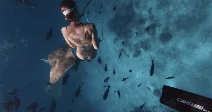 Attractive woman freediver swim with large Sting ray fish in blue ocean in the Maldives.