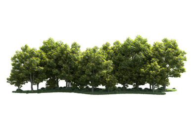 Green forest isolated on background. 3d rendering - illustration