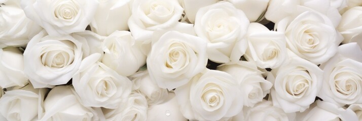 close up of white rose petals