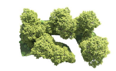 Green forest isolated on background. 3d rendering - illustration