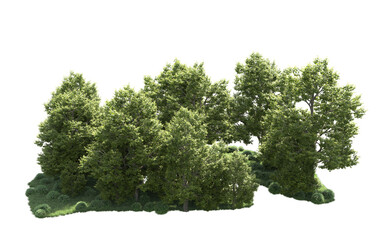 Green forest isolated on background. 3d rendering - illustration