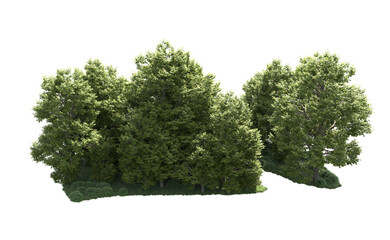 Green forest isolated on background. 3d rendering - illustration