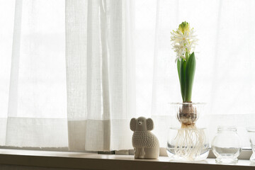 白いヒヤシンスの水耕栽培と北欧のインテリア