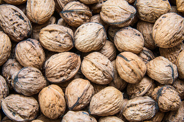 Close-up of a pile of freshly harvested walnuts, the fruit of the walnut tree, Juglans regia