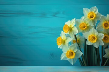 Yellow narcissus flowers on aquamarine wooden background