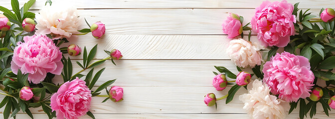 pastel pink peonies on white wooden table background top view