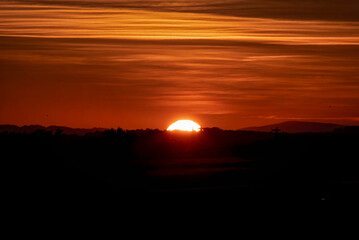 Sunset landscape with a plain wild grass field
