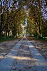 A path through the park on a sunny fall day in Milan