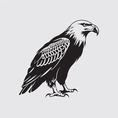 Eagle Vector Images