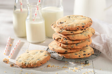 Sweet and tasty vanilla cookies made of cocoa and flour.