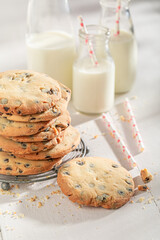 Crunchy and sweet vanilla cookies as after school milky snack.