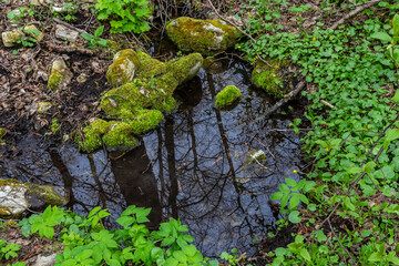 River in a forest park. Plants, moss, green grass. Reflections on water. Spring, early summer. Environment climate ecology ecosystems, pure nature. Idyllic landscape. High angle view