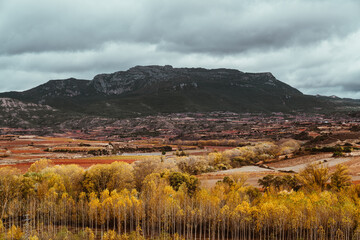 Der Ausblick von der Kleinstadt Haro in La Rioja in Spanien auf deren Landschaft und dei Weinberge im Herbst