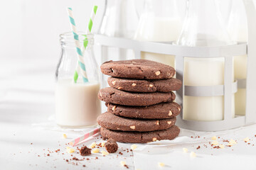 Milky and crunchy chocolate cookies served with milk in bottle.