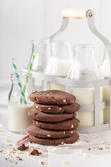 Milky and crunchy chocolate cookies as a sweet dessert.