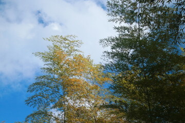 Obraz premium 玄岳