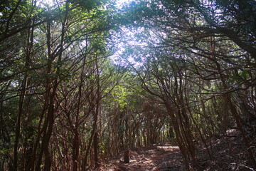 Obraz premium 玄岳