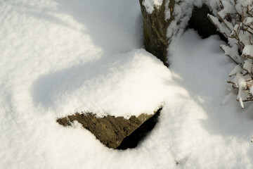 schnee winter frost kalt mauer garten