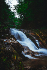 Potok w Małej Fatrze © Patryk Wojcieszak