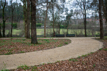 park in the city with road over the trees