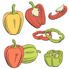 Pepper graphic color isolated sketch illustration vector 