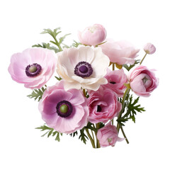 flower - Anemone: Anticipation and protection