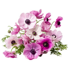 flower - The bouquet of Anemone flowers in purple, white, and pink signifies anticipation and protection.