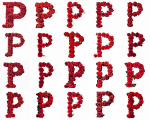 Group of various P shaped letters made from red rose flowers isolated on white background. Generative ai. Romantic blooming font theme.