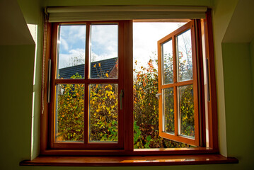 Double glazed wooden window