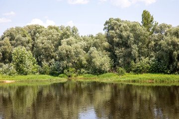 Fototapeta premium The landscape of the river and the shore with green trees in summer.