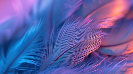 Background with feathers in blue color tones, purple and midnight blue, digital painting with texture