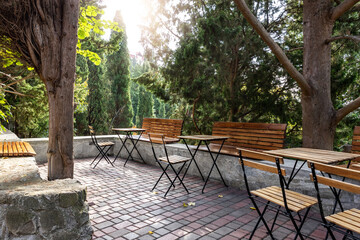 Charming outdoor cafe setting with wooden furniture in a lush pine woods garden.