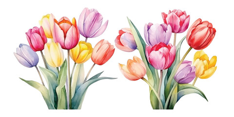 Cute Watercolor tulips