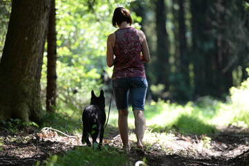 Gemeinsam im Wald. Frau geht mit altem dünnen Hund im Wald spazieren