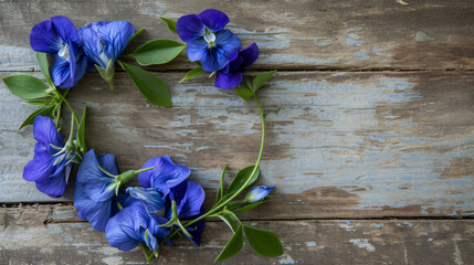 Butterfly pea flower