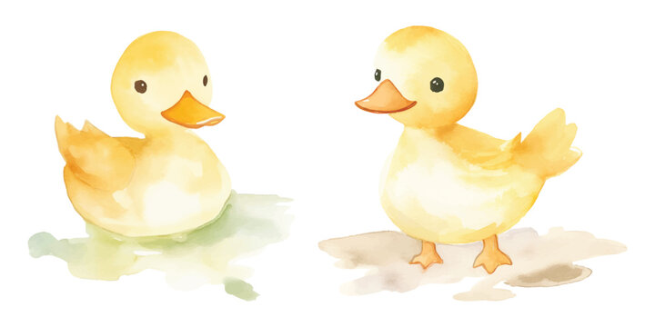 watercolor of cute duck vector illustration