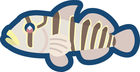 かわいいキヌバリ（日本海型）のイラスト