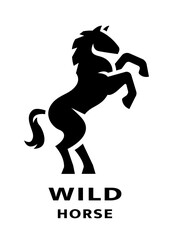 Wild horse logo.