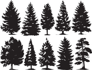 Fototapeta premium A set of Christmas trees. Hand drawn vector illustration 