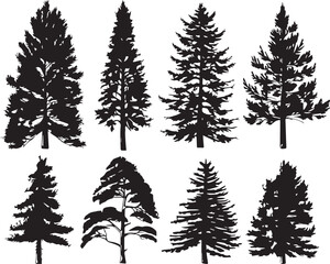 Fototapeta premium A set of Christmas trees. Hand drawn vector illustration 