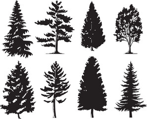 Fototapeta premium A set of Christmas trees. Hand drawn vector illustration 