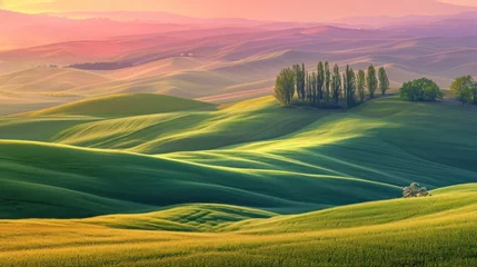 Fotobehang a sunset in green fields captures the essence of nature, intricate landscapes © Left