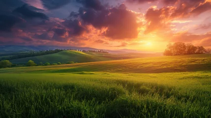 Tuinposter Warm oranje a sunset in green fields captures the essence of nature, intricate landscapes