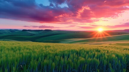 Fototapeta na wymiar a sunset in green fields captures the essence of nature, intricate landscapes