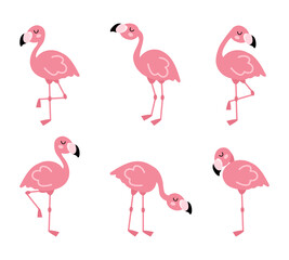 Cute cartoon pink flamingo set. Exotic birds in different poses
