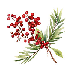 Watercolor Christmas red ribbon branches isolated clipart on transparent background