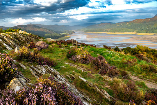 Mawddach River Estuary In Snowdonia National Park Near The City Of Barmouth In Wales, United Kingdom